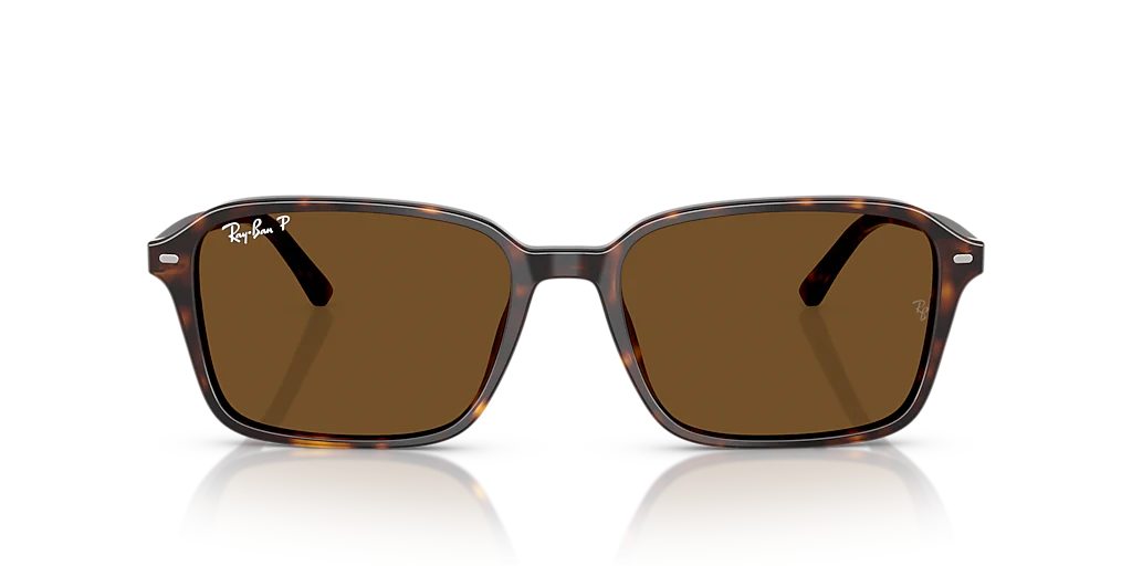 RB2231 Raimond Ray-Ban Tortoise/Brown XL - Image 2