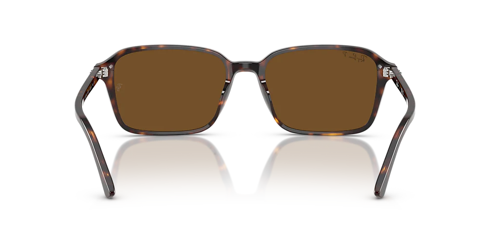 RB2231 Raimond Ray-Ban Tortoise/Brown XL - Image 4